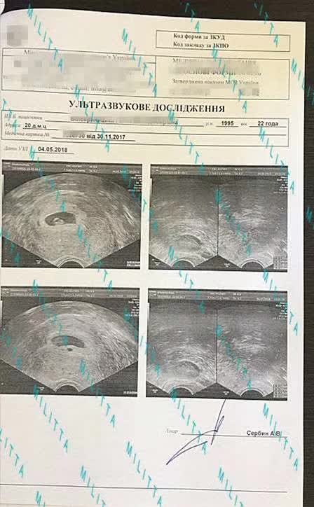 马丽塔的代母验孕报告