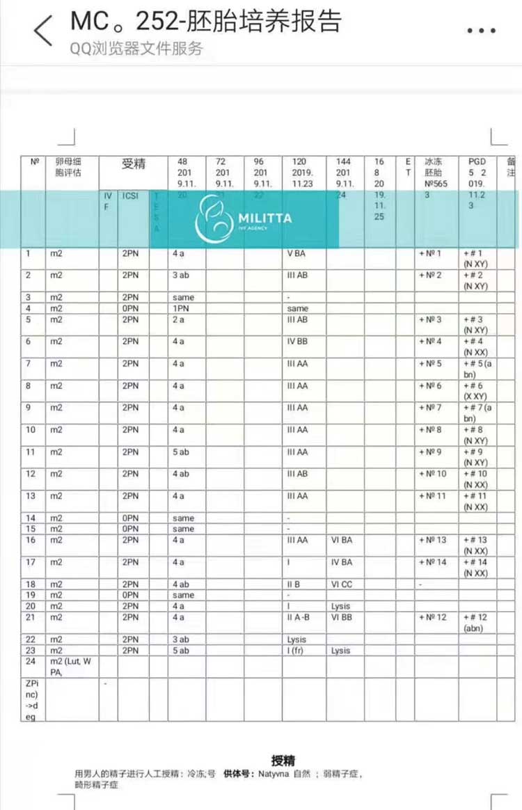 乌克兰试管筛查报告