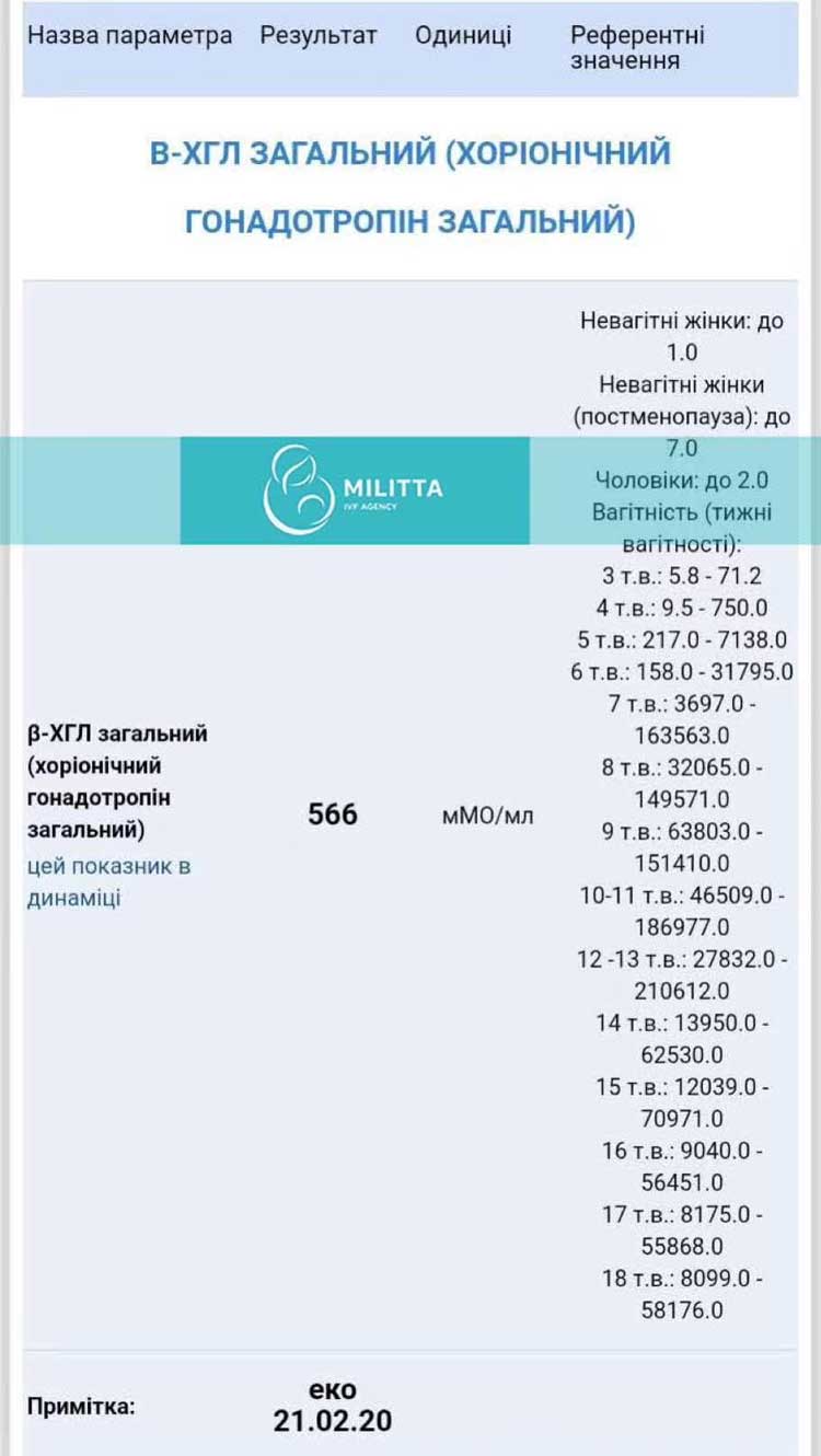 马丽塔一下出来3个乌克兰的验孕成功报告