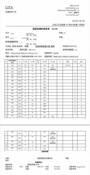 H先生的捐卵胚胎培养报告，受精养囊成14枚高等级胚胎