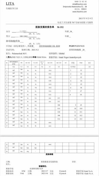 G夫妇在丽塔医院的捐卵胚胎培养报告