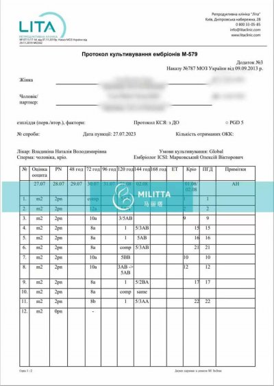 乌克兰丽塔医院的胚胎报告，取卵28个，培育囊胚22个