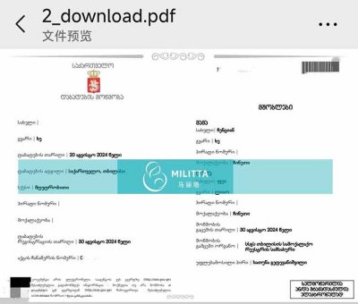杭州Y夫妇在格鲁吉亚silk医院助孕的试管宝宝已办好出生证